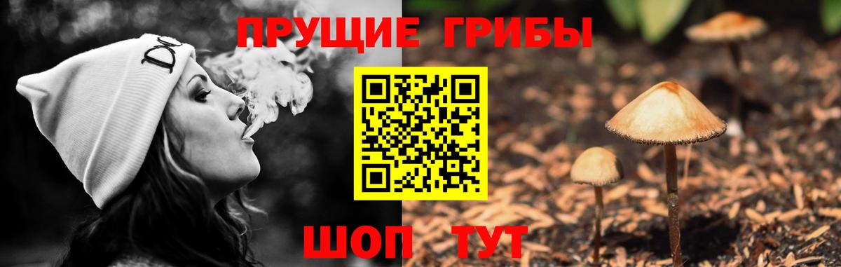 Галлюциногенные грибы Psilocybe  Галлюциногенные грибы Cubensis  Кирово-Чепецк  Вход с VPN 
